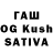 Галлюциногенные грибы Psilocybine cubensis KeFir4Ik31
