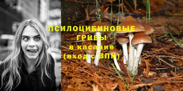 прущий лед Михайлов