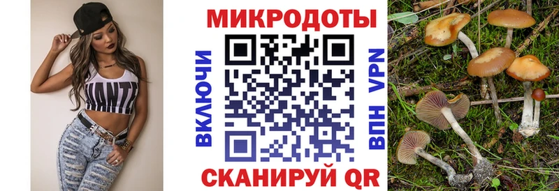 Псилоцибиновые грибы Psilocybine cubensis  гидра сайт  Касли  магазин продажи наркотиков 